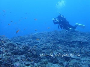 f:id:polepole-at-sea:20181015233057j:plain