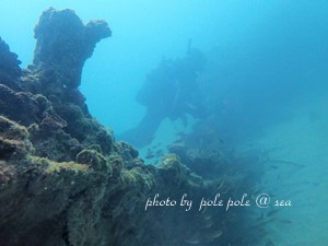 f:id:polepole-at-sea:20181208224705j:plain