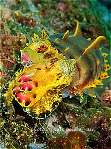 f:id:polepole-at-sea:20190430183641j:plain f:id:polepole-at-sea:20190430183641j:plain