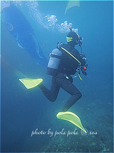 f:id:polepole-at-sea:20190430184017j:plain f:id:polepole-at-sea:20190430184017j:plain