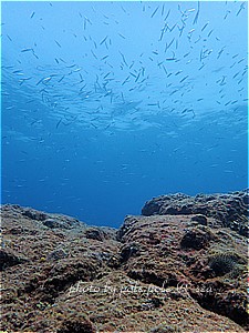 f:id:polepole-at-sea:20190503235730j:plain