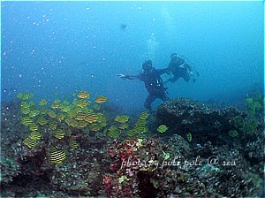 f:id:polepole-at-sea:20190915233631j:plain