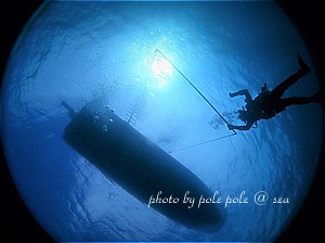 f:id:polepole-at-sea:20191123221615j:plain