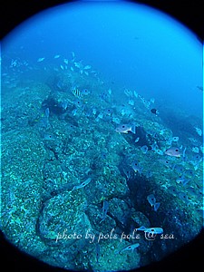 f:id:polepole-at-sea:20191123222003j:plain