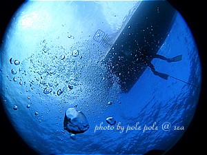 f:id:polepole-at-sea:20191123222306j:plain