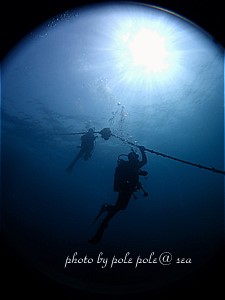 f:id:polepole-at-sea:20200322224718j:plain