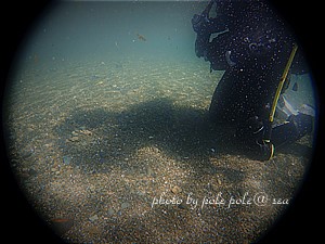 f:id:polepole-at-sea:20200406095652j:plain