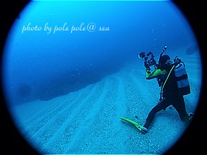 f:id:polepole-at-sea:20200622120228j:plain
