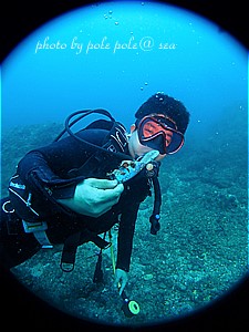 f:id:polepole-at-sea:20200622120301j:plain