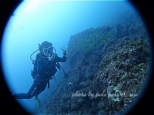 f:id:polepole-at-sea:20200622120446j:plain