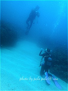 f:id:polepole-at-sea:20200624181312j:plain