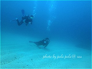 f:id:polepole-at-sea:20200624181346j:plain