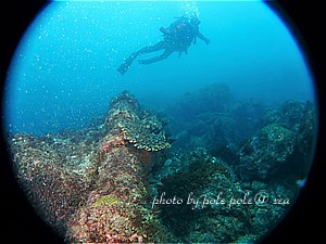 f:id:polepole-at-sea:20200708221219j:plain