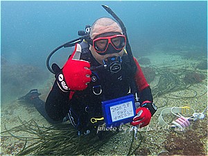 f:id:polepole-at-sea:20200708221410j:plain