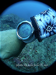 f:id:polepole-at-sea:20200712195531j:plain