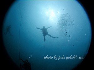 f:id:polepole-at-sea:20200712200811j:plain