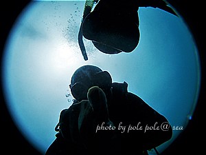 f:id:polepole-at-sea:20200712201654j:plain