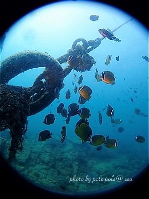 f:id:polepole-at-sea:20200804003958j:plain