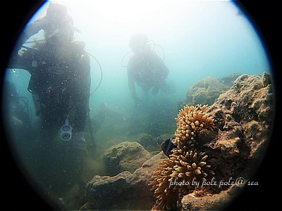 f:id:polepole-at-sea:20200812232535j:plain