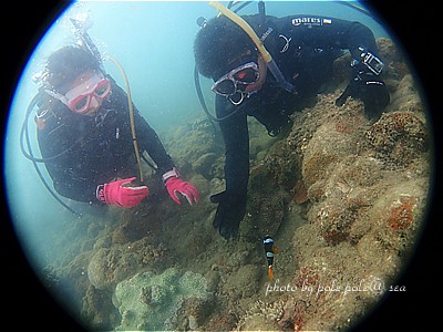 f:id:polepole-at-sea:20200822000227j:plain