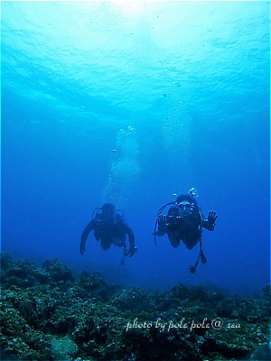 f:id:polepole-at-sea:20200822233111j:plain f:id:polepole-at-sea:20200822233111j:plain