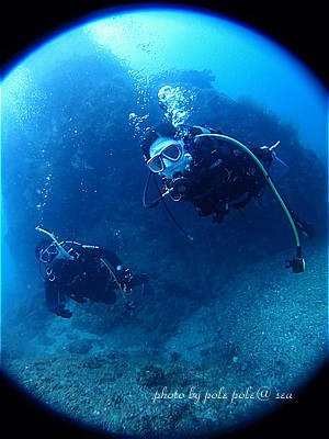 f:id:polepole-at-sea:20200822233459j:plain f:id:polepole-at-sea:20200822233459j:plain