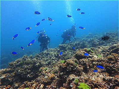 f:id:polepole-at-sea:20200830001750j:plain