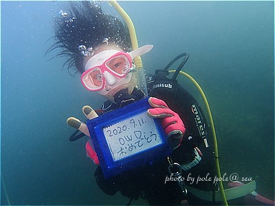 f:id:polepole-at-sea:20200912000532j:plain f:id:polepole-at-sea:20200912000532j:plain
