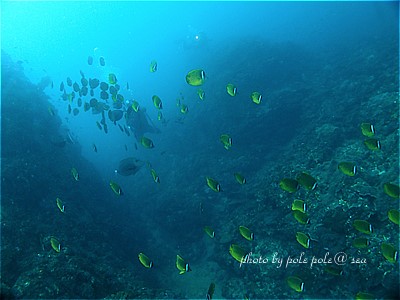 f:id:polepole-at-sea:20200915215729j:plain f:id:polepole-at-sea:20200915215729j:plain