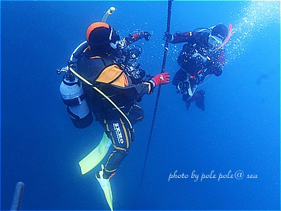 f:id:polepole-at-sea:20210425210552j:plain