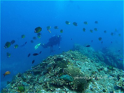 f:id:polepole-at-sea:20210808173925j:plain