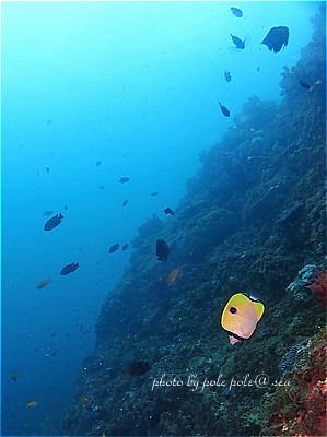 f:id:polepole-at-sea:20210917002842j:plain