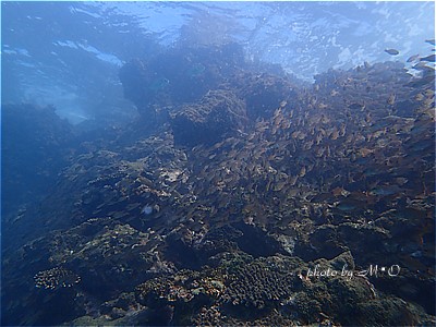 f:id:polepole-at-sea:20211026221839j:plain