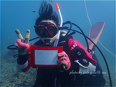 f:id:polepole-at-sea:20211026222806j:plain