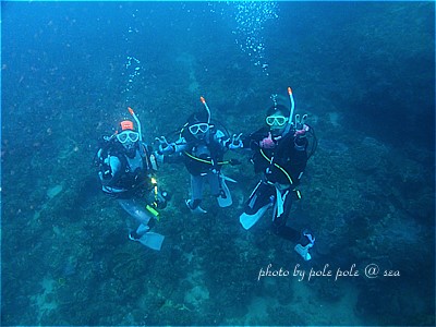 f:id:polepole-at-sea:20211107210344j:plain