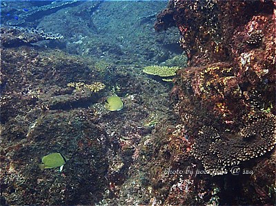 f:id:polepole-at-sea:20211119000134j:plain