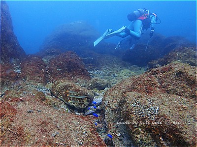 f:id:polepole-at-sea:20211119000222j:plain