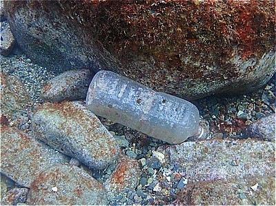 f:id:polepole-at-sea:20211119000307j:plain