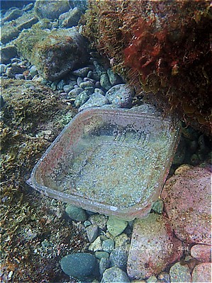 f:id:polepole-at-sea:20211119000355j:plain