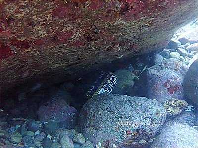 f:id:polepole-at-sea:20211119000526j:plain