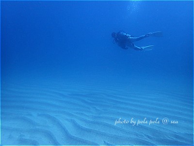 f:id:polepole-at-sea:20211220172339j:plain