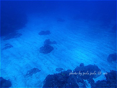 f:id:polepole-at-sea:20220211224321j:plain