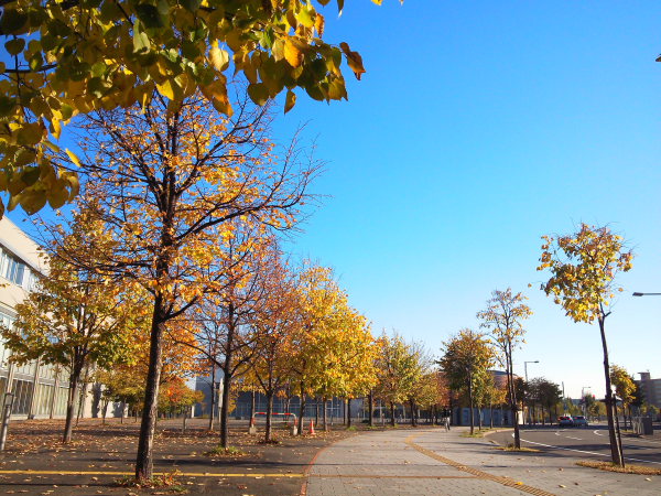 f:id:polepole103:20131019084151j:plain f:id:polepole103:20131019084151j:plain