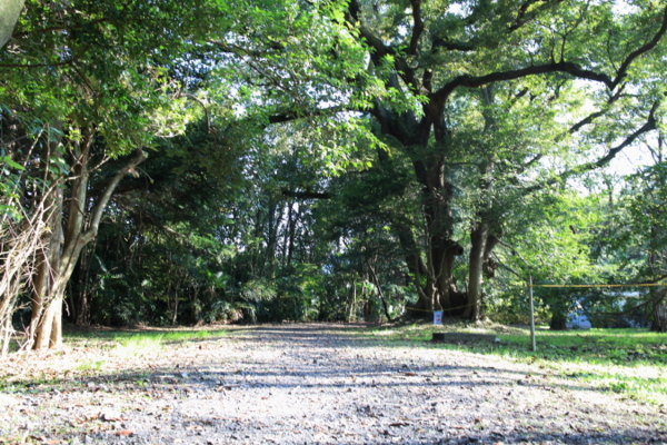 f:id:polepole103:20141025141111j:plain