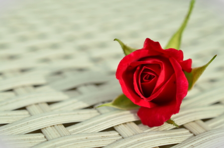 f:id:polepole103:20150617170402j:plain