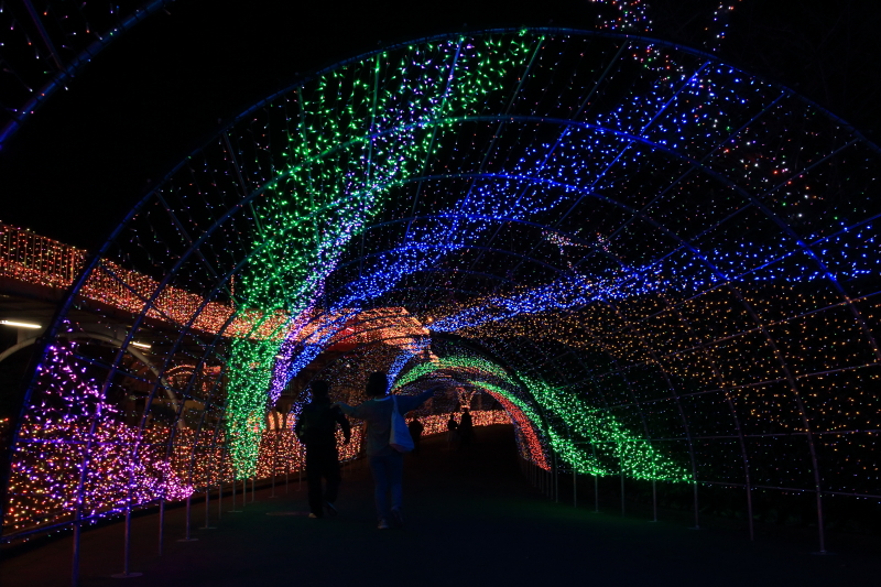 f:id:polepole103:20161020193525j:plain