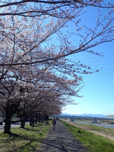 f:id:polepole103:20200322212629j:plain