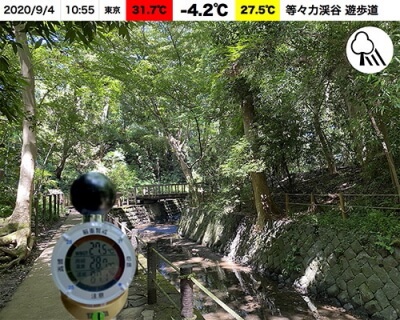 f:id:polepole103:20200911212904j:plain