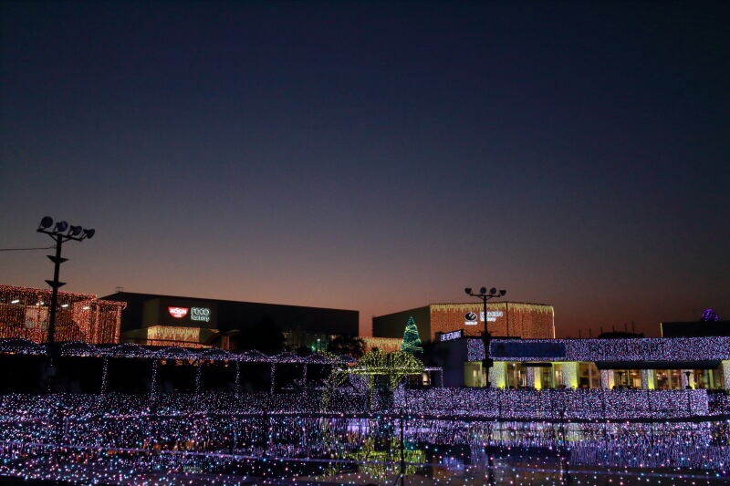 f:id:polepole103:20201114190100j:plain