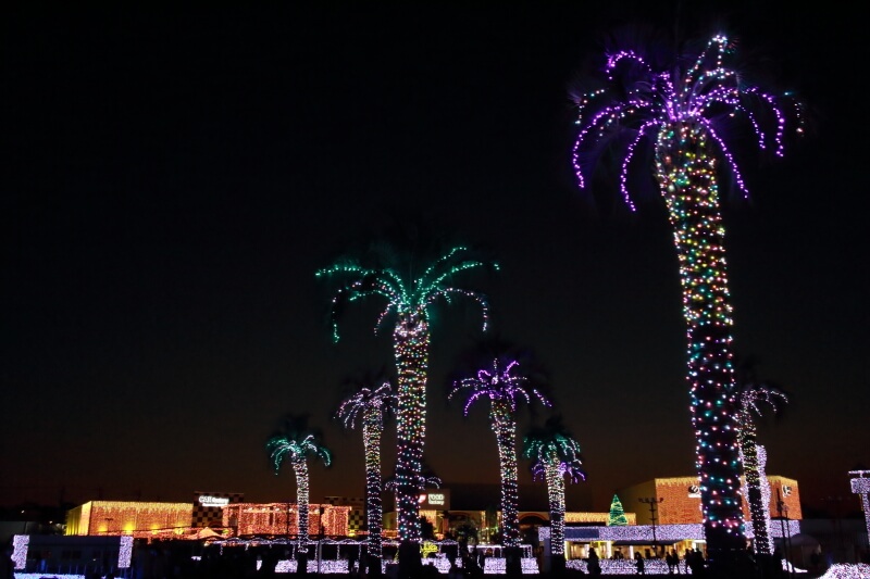 f:id:polepole103:20201114190115j:plain